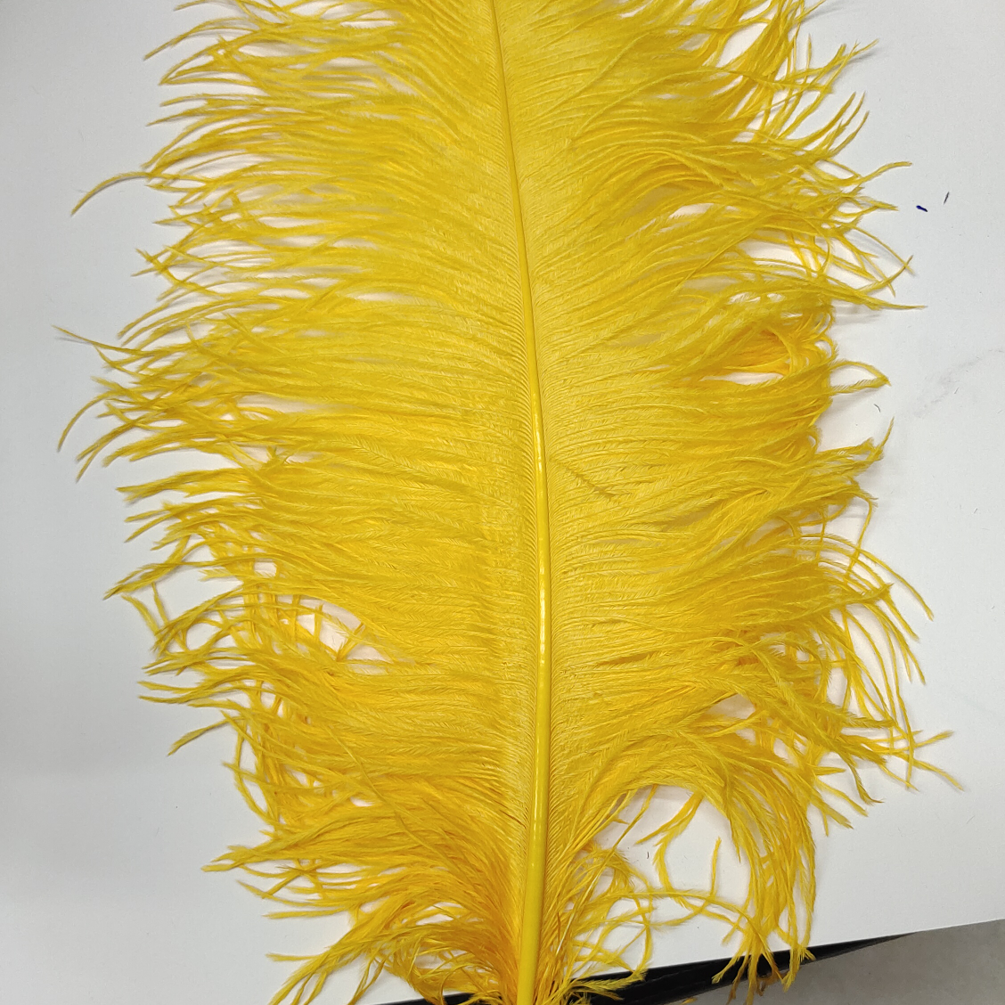 Ostrich feathers 60-65 cm golden yellow