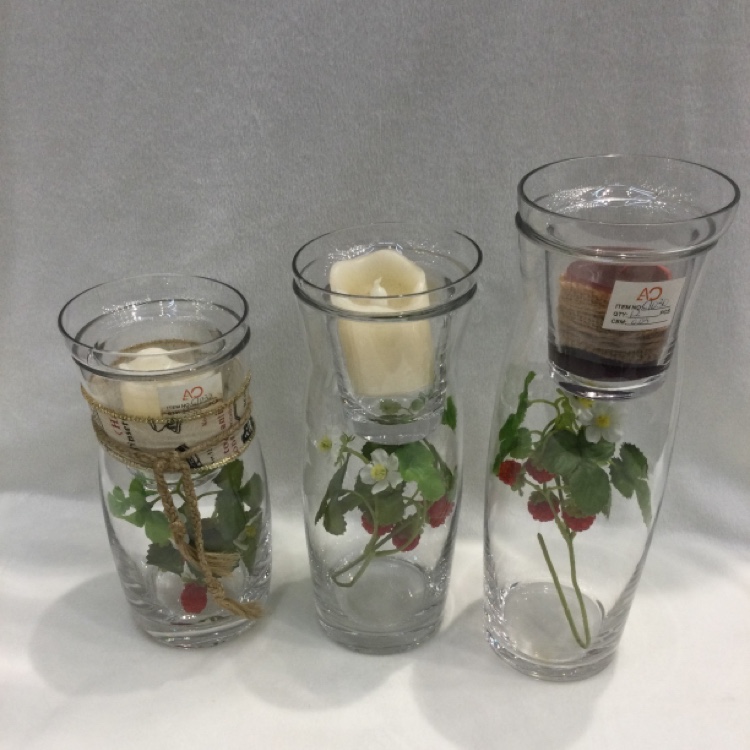 Simple Vase with lid Hydroponic succulent Flower Glass Clear vase Living room dry flower glass vase