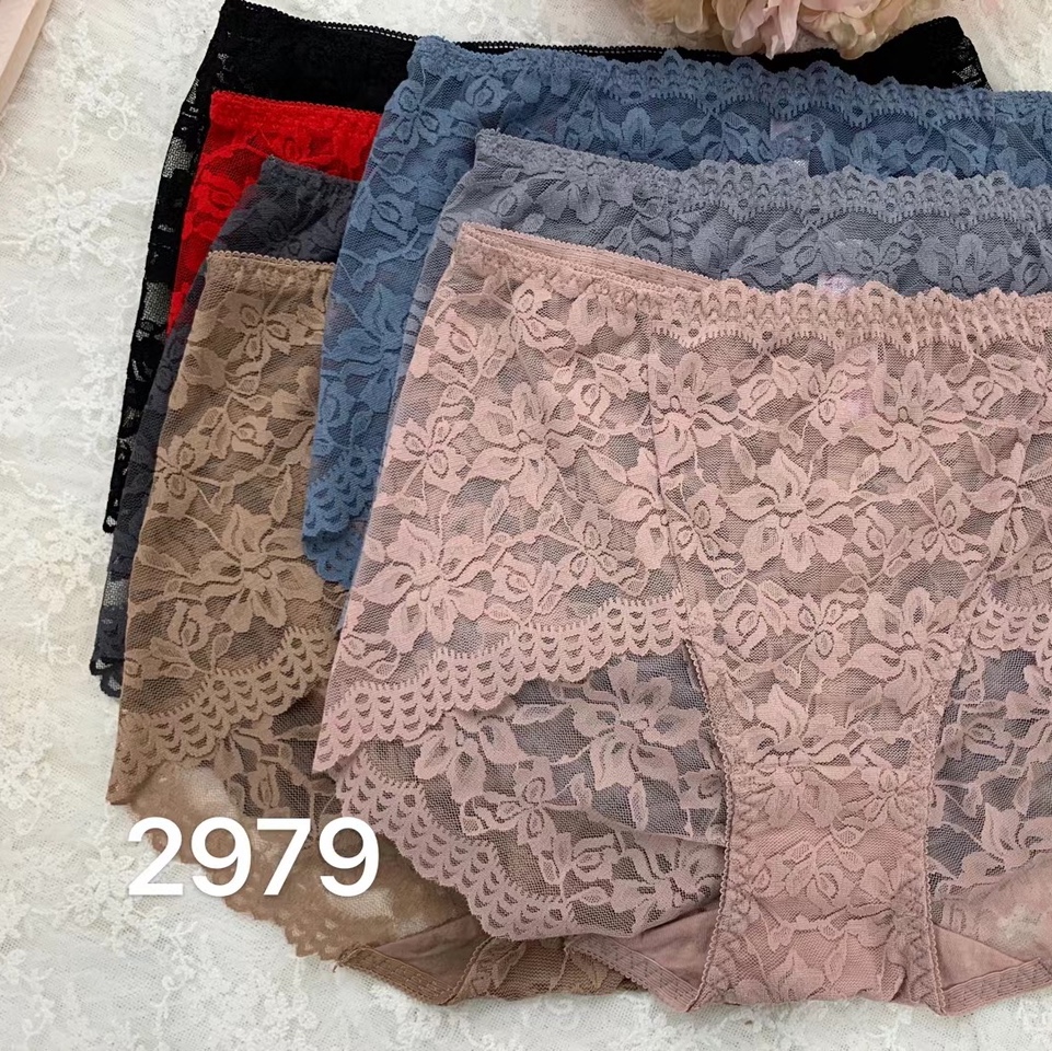 2979 sexy underwear