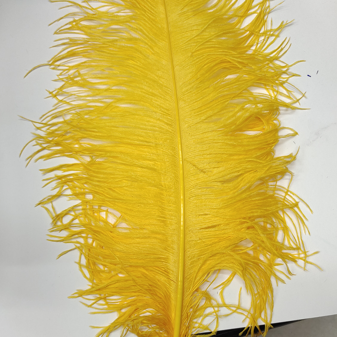 Ostrich feathers 50-55 cm golden yellow