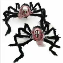 A 75-centimeter skull spider