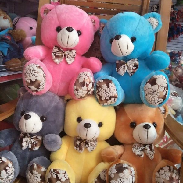 Little Colorful Bear