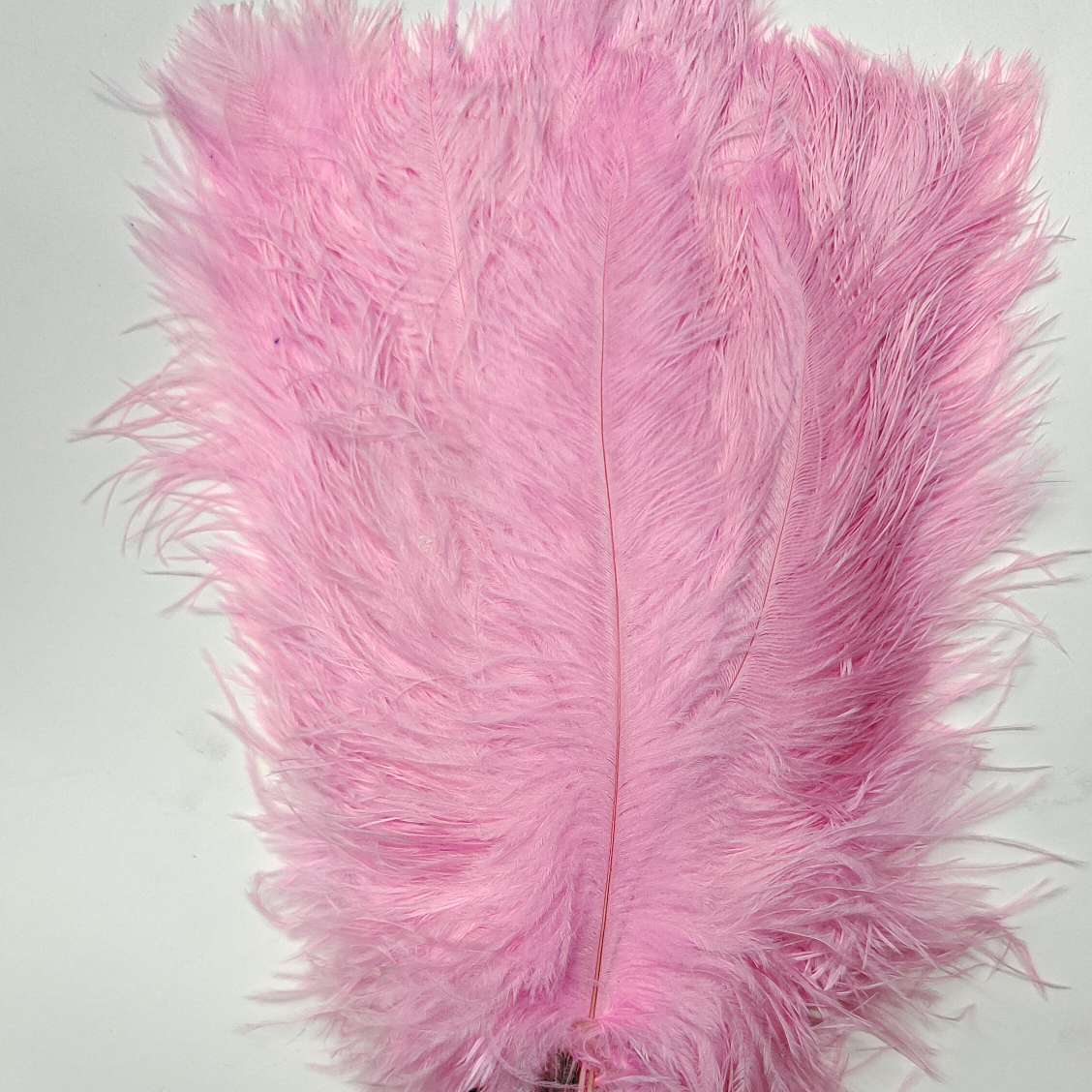 Ostrich feathers 55-60 cm pink