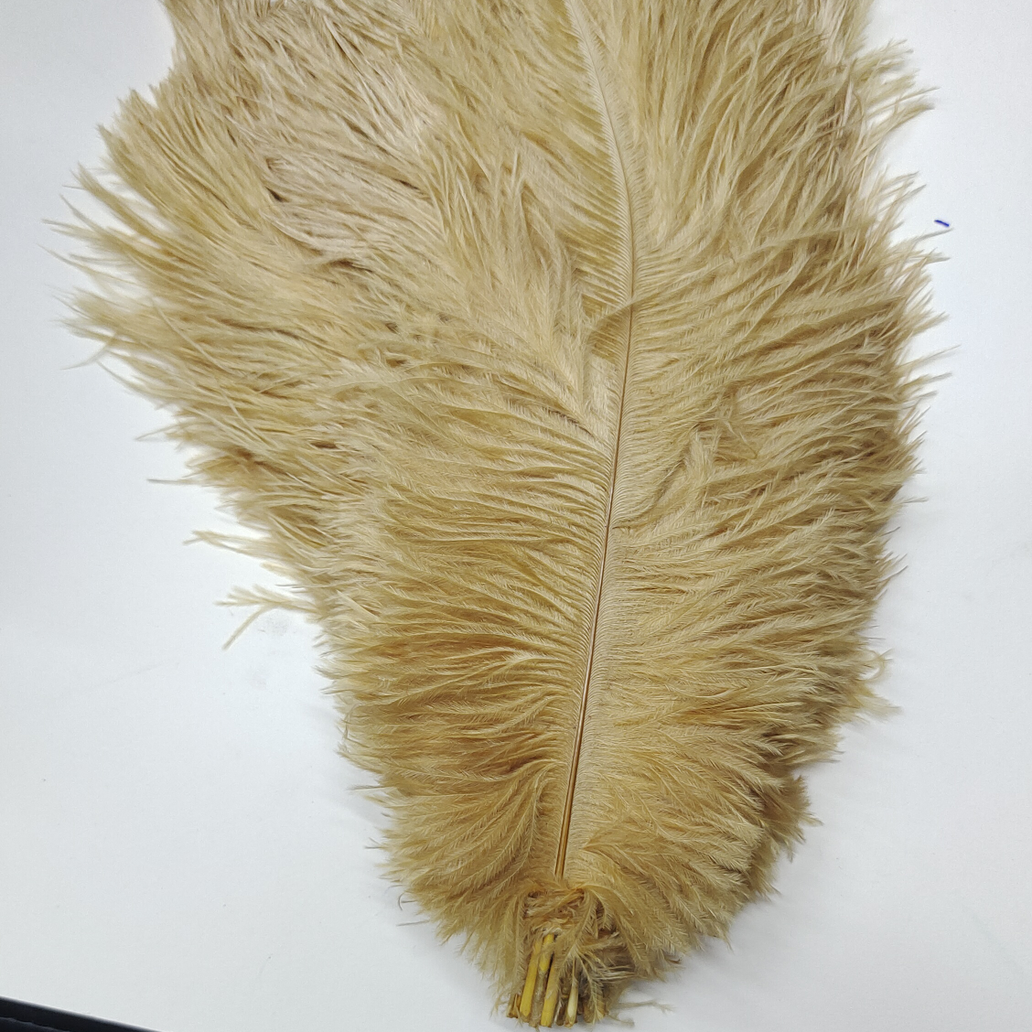 Ostrich feathers 50-55 cm khaki