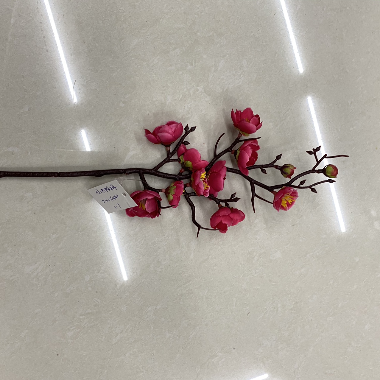 Little wintersweet, pink wintersweet