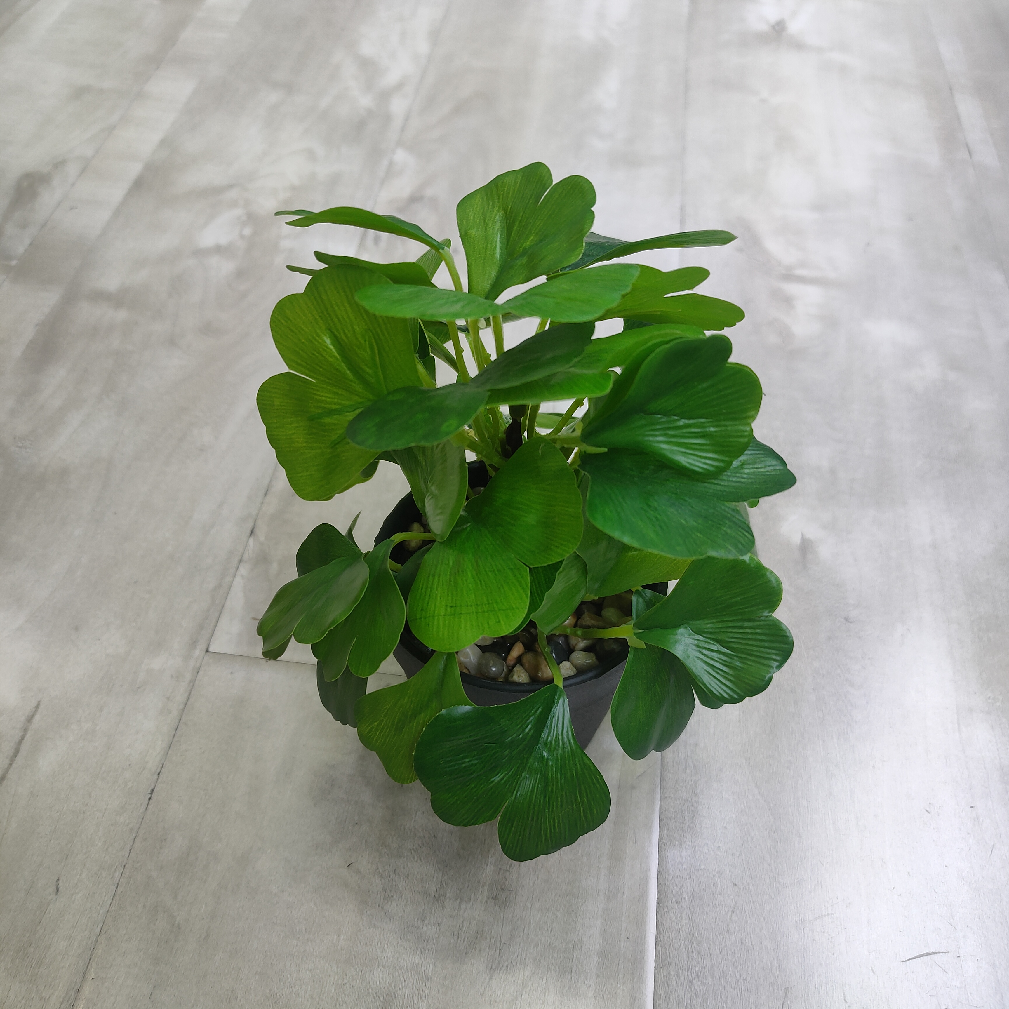 Simulation potted plants beautifully decorate the real plant experience of the home environment