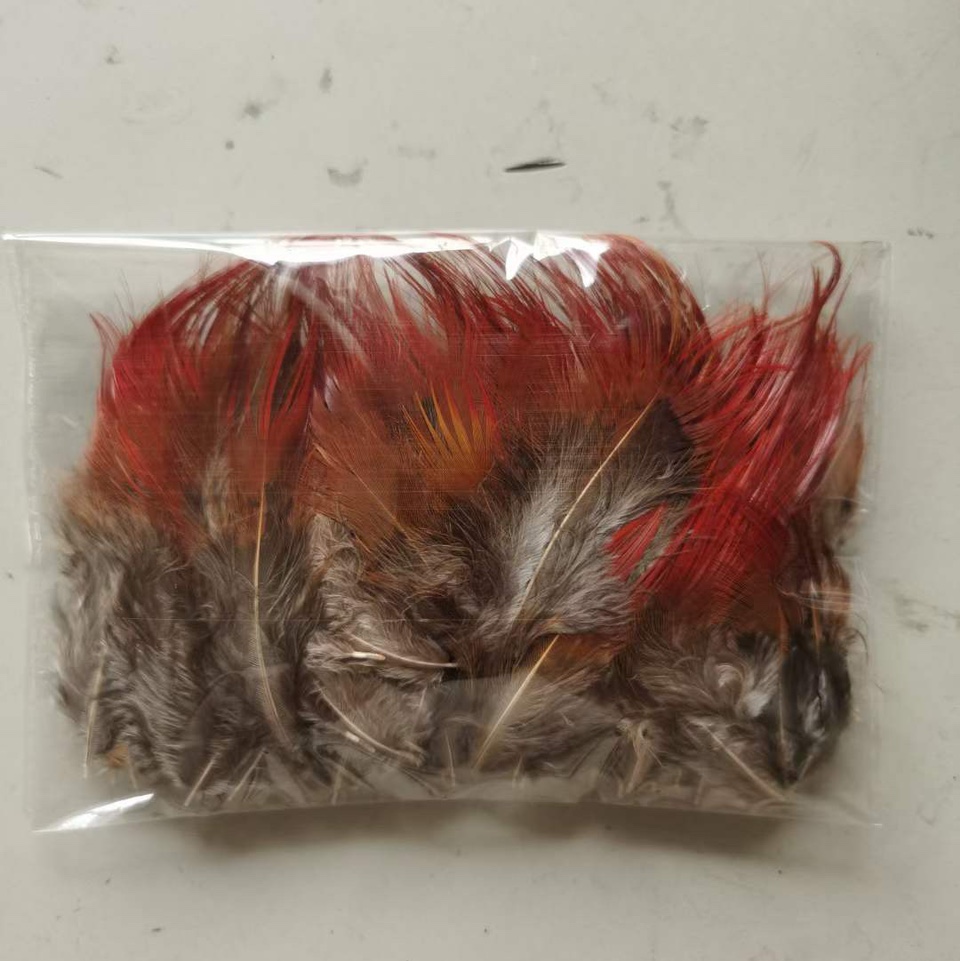Pheasant red whiskers