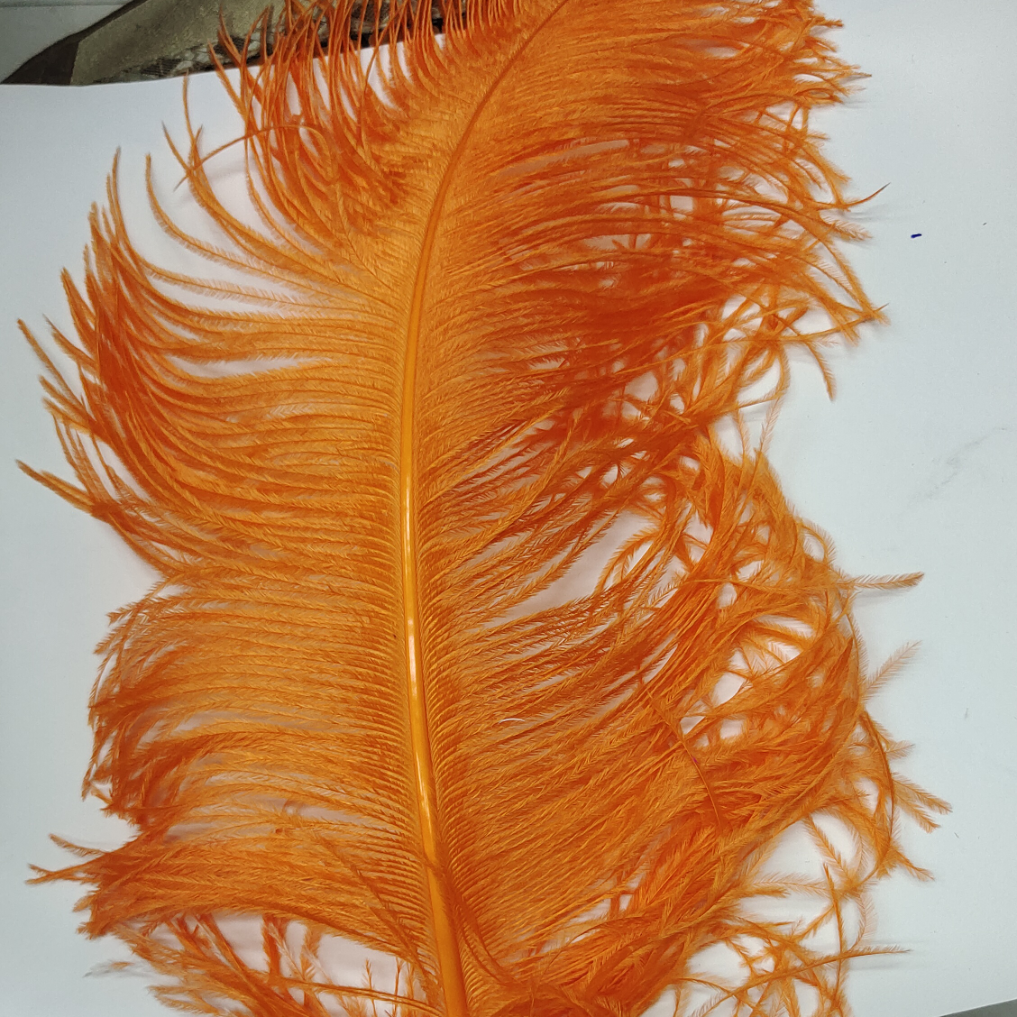 Ostrich feathers 50-55 cm orange