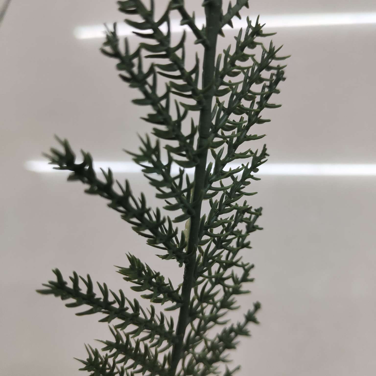 Simulated green plants, simulated plant ornaments, plastic aquatic plants, simulated garden decorations 678 Application Scenario