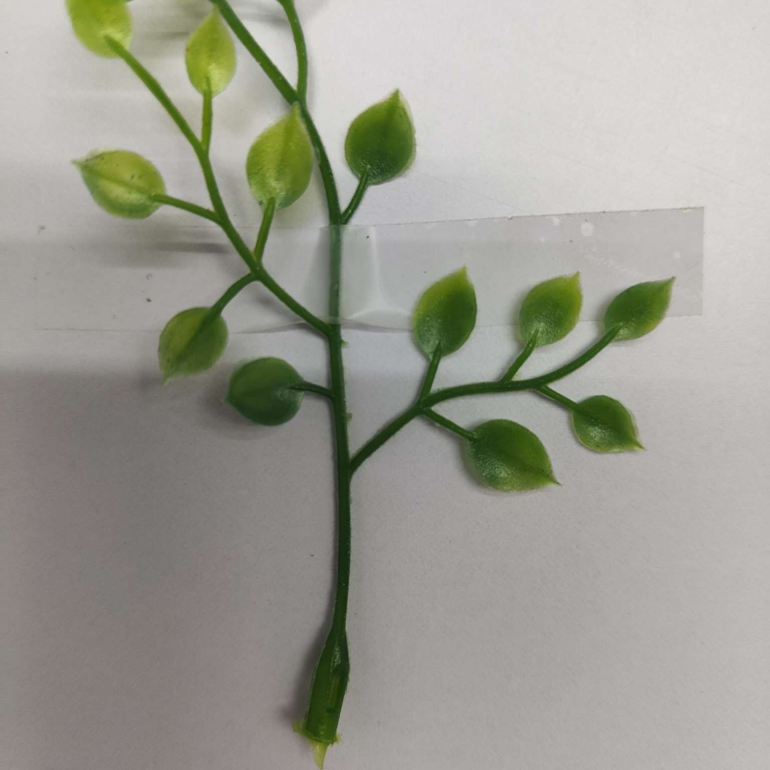 Plastic aquatic plant accessories, green plants, flower decorations, floral art, wedding mall ornaments Specification image