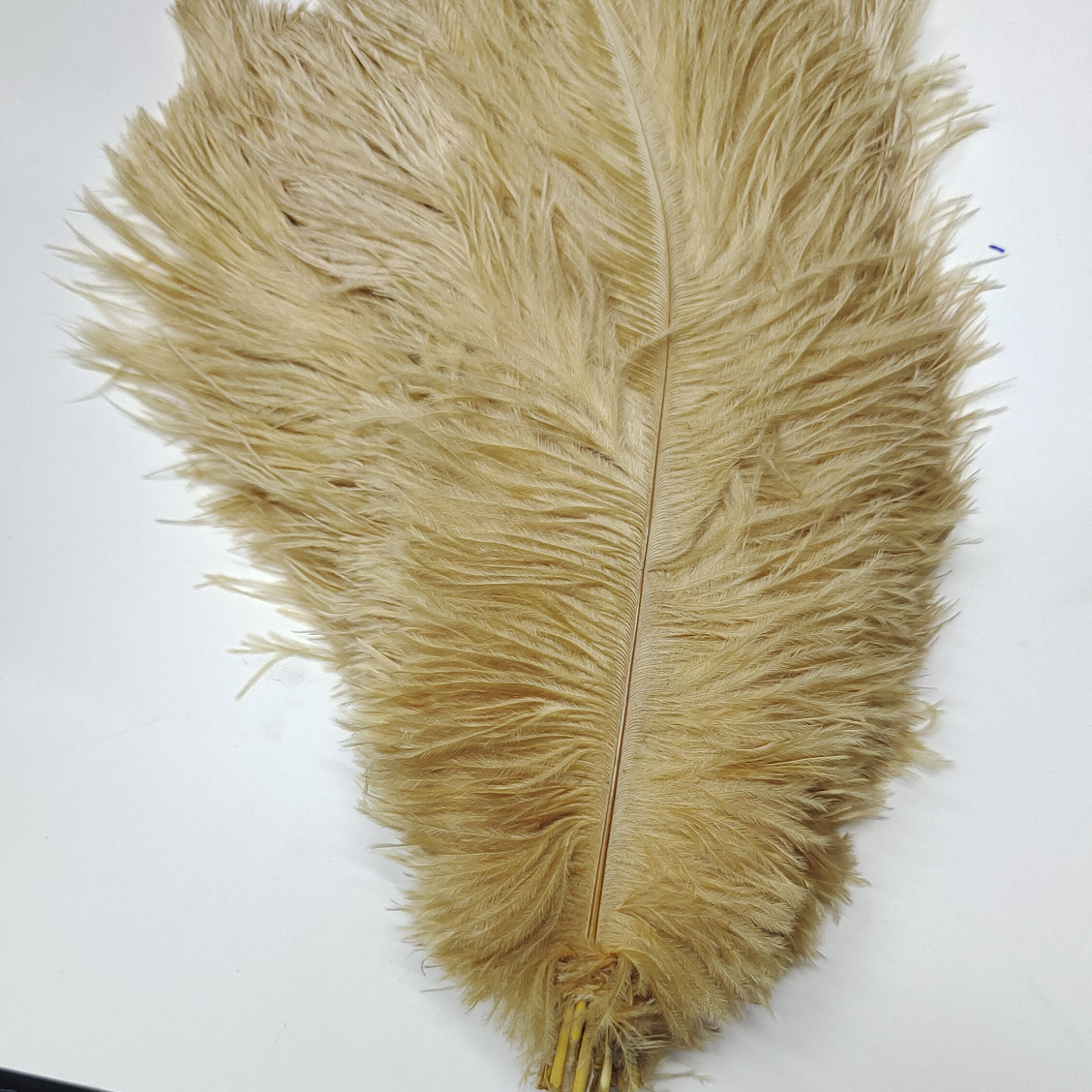 Ostrich feathers 60-65 cm khaki