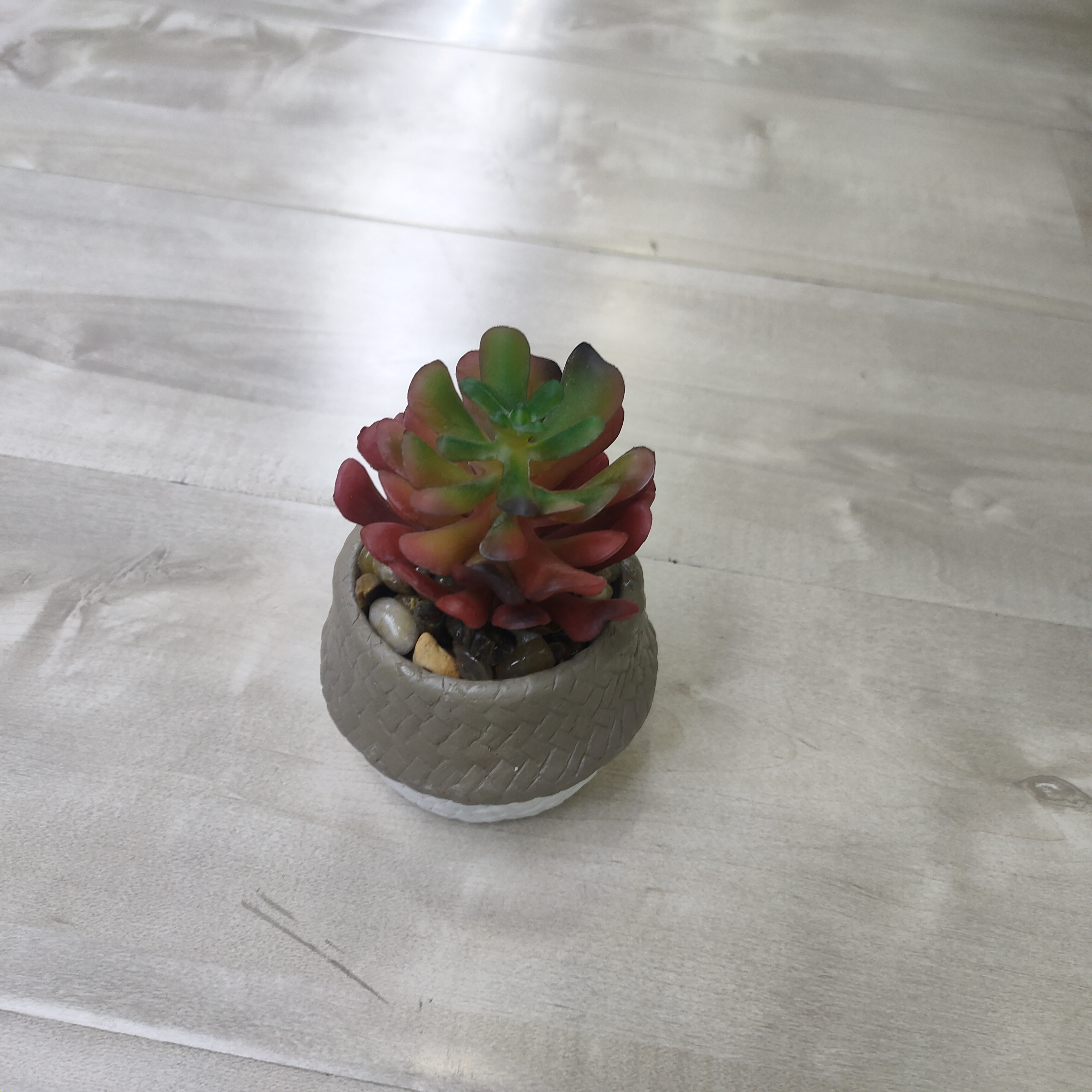 仿真多肉植物盆栽 萌芽发芽智能家居装饰模型 装饰品义源工艺