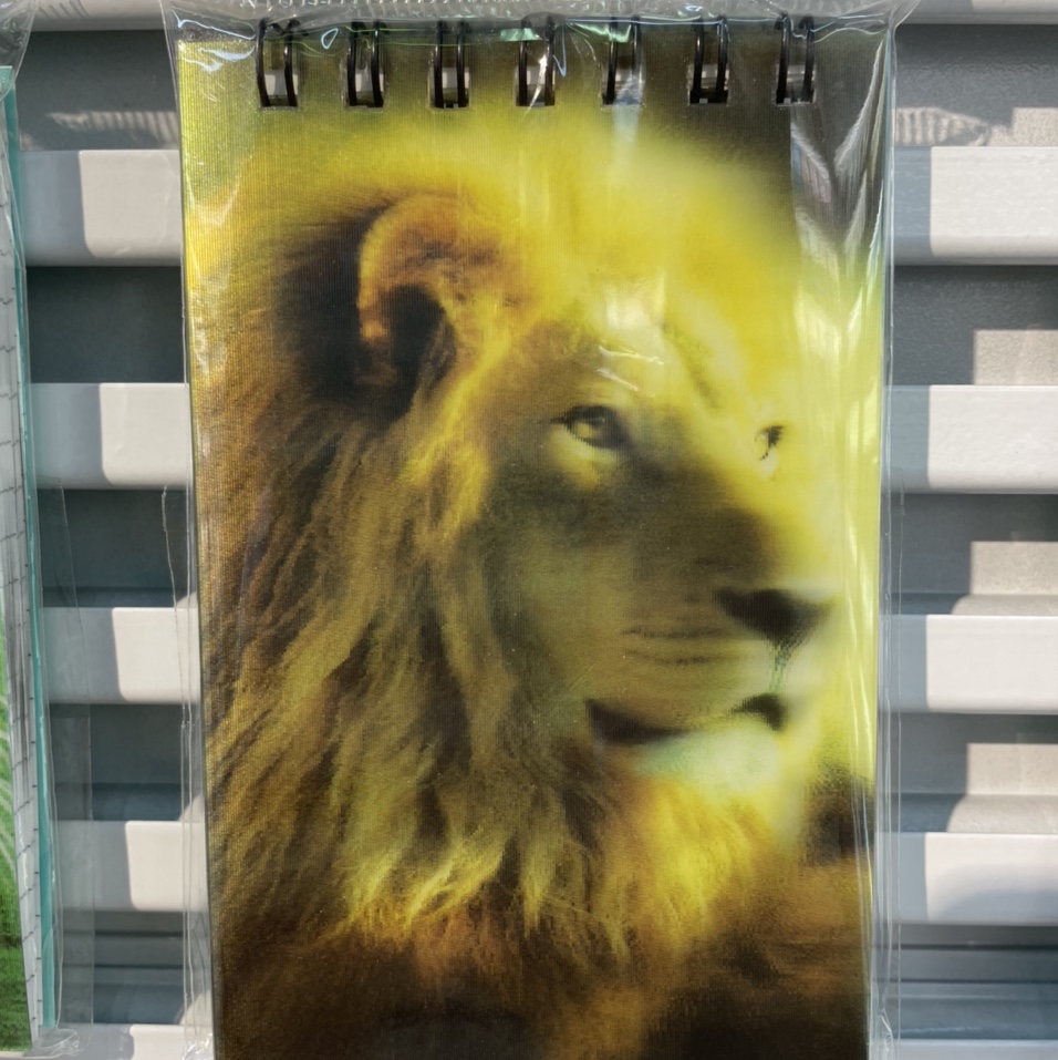 Lion notebook