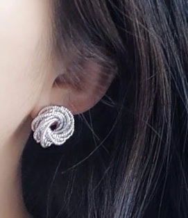 New Korean-style stud earrings with a trendy and versatile European and American style Application Scenario