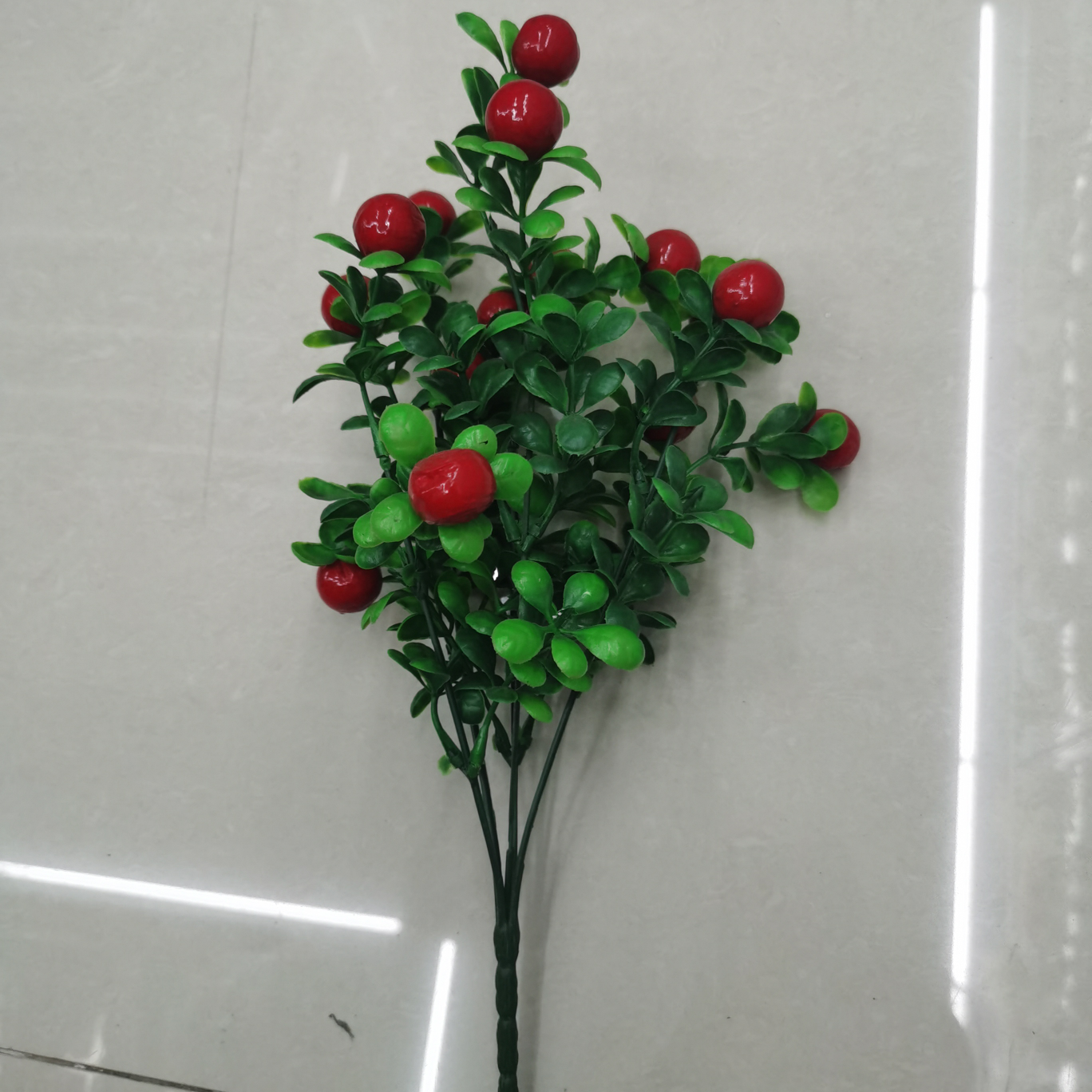 خمس أشجار برتقال