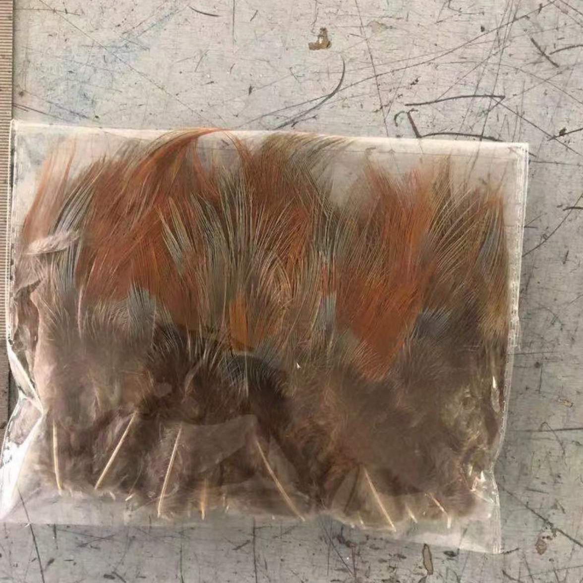 Pheasant yellow beard hair