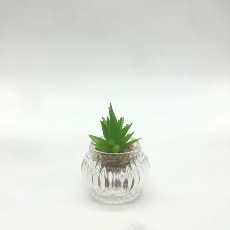 玻璃多肉植物花盆10