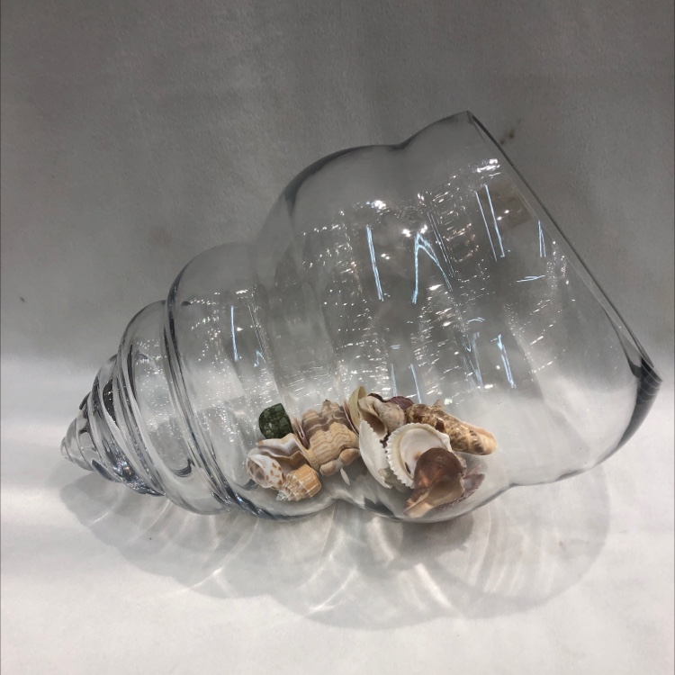 Hydroponic plant bottle Glass Eco-bottle thickened green plant simple hydroponic glass vase transparent pattern green straw and conch hydroponic