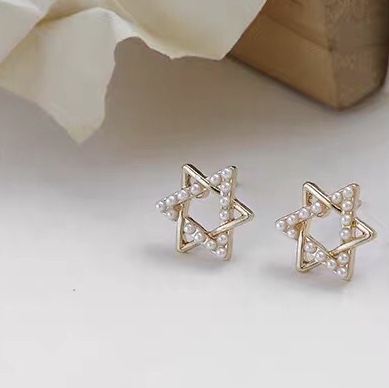 Small exquisite simple fashion summer dress exquisite noble luxury earrings