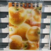 Apple coil book
