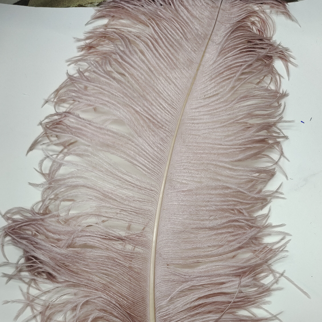 Ostrich feathers 70-75 cm thick flesh pink