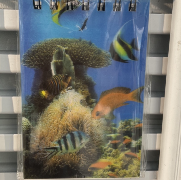 Coral coil book