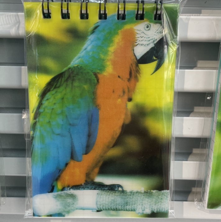 Colored parrot coil book