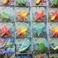 厂家直销各式各样膨胀玩具  彩绘海洋动物图