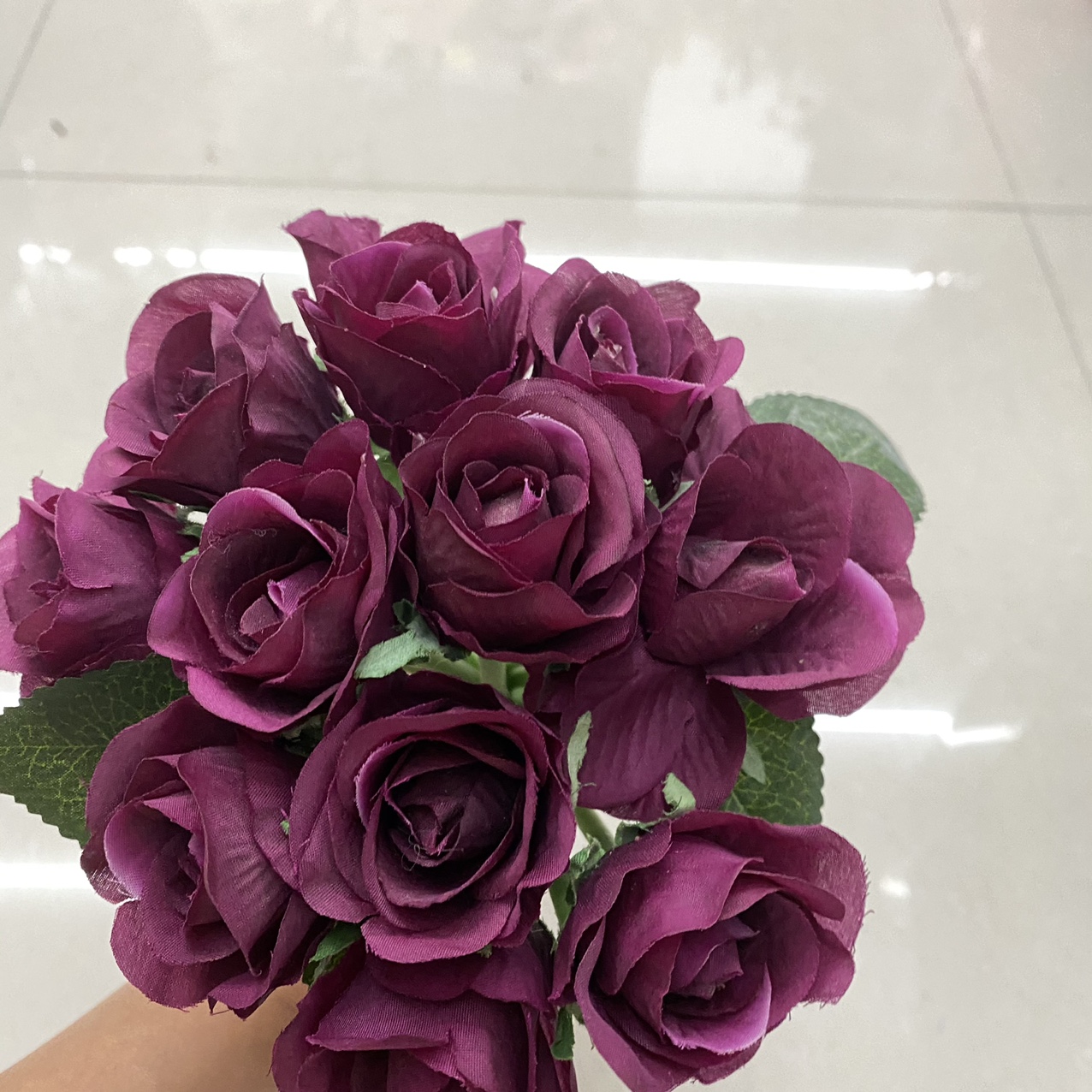 Burgundy crepe rose