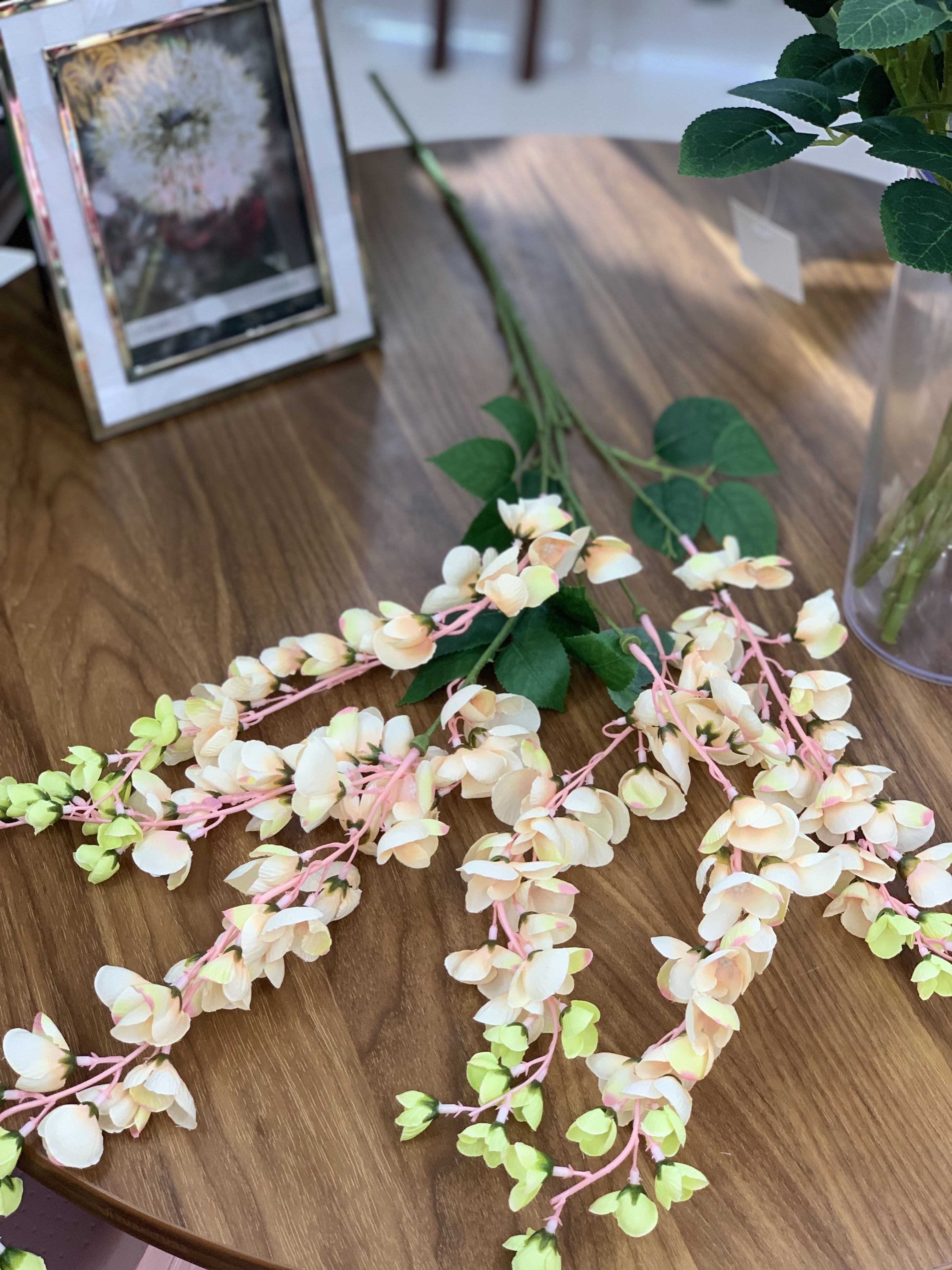 紫荆豆豆详情图5