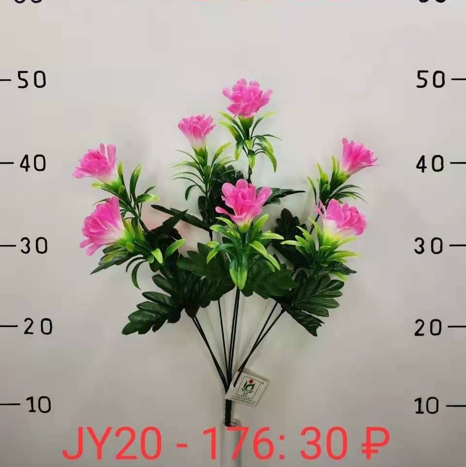 JY20-176