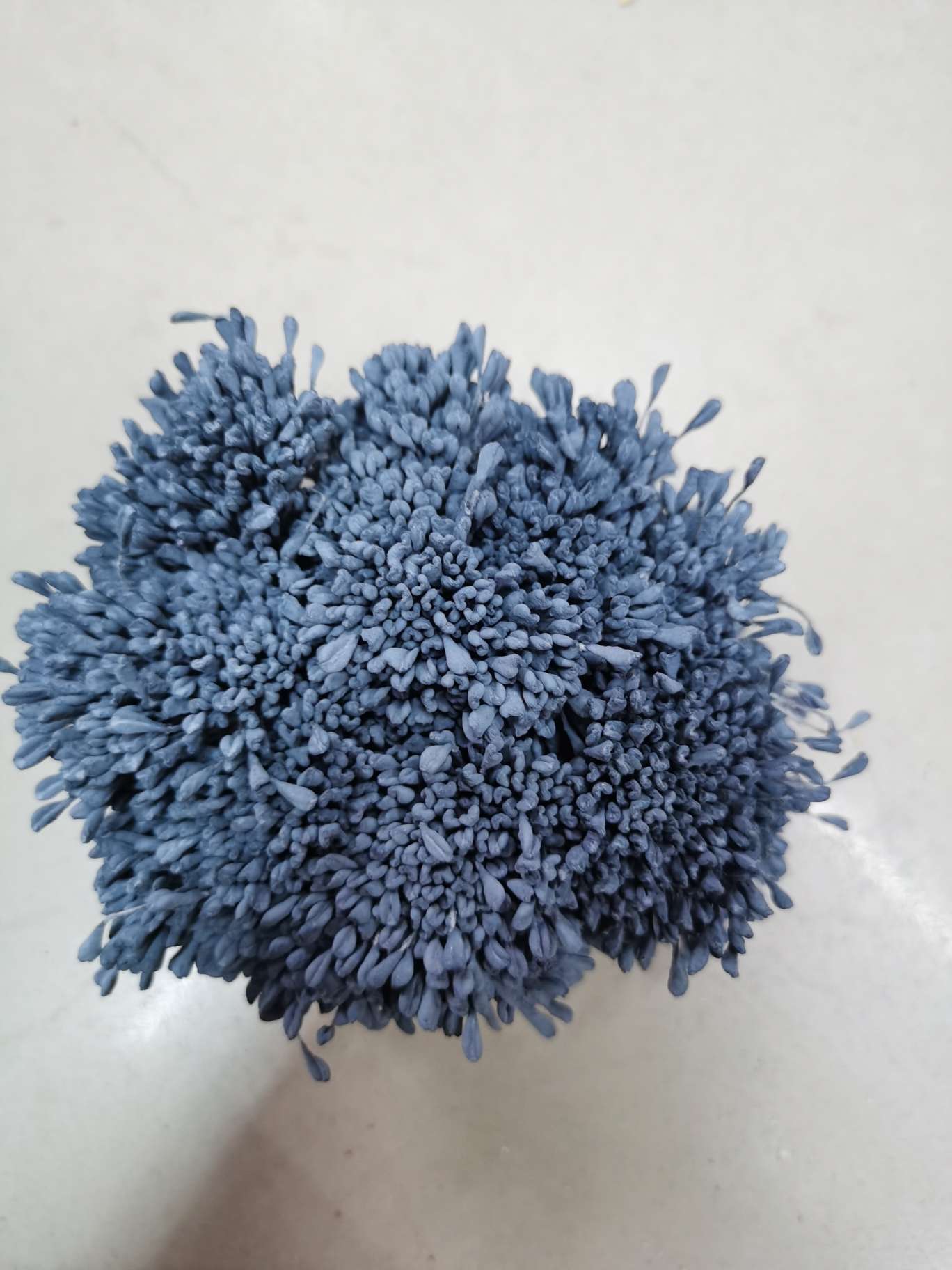 Navy blue rose Application Scenario