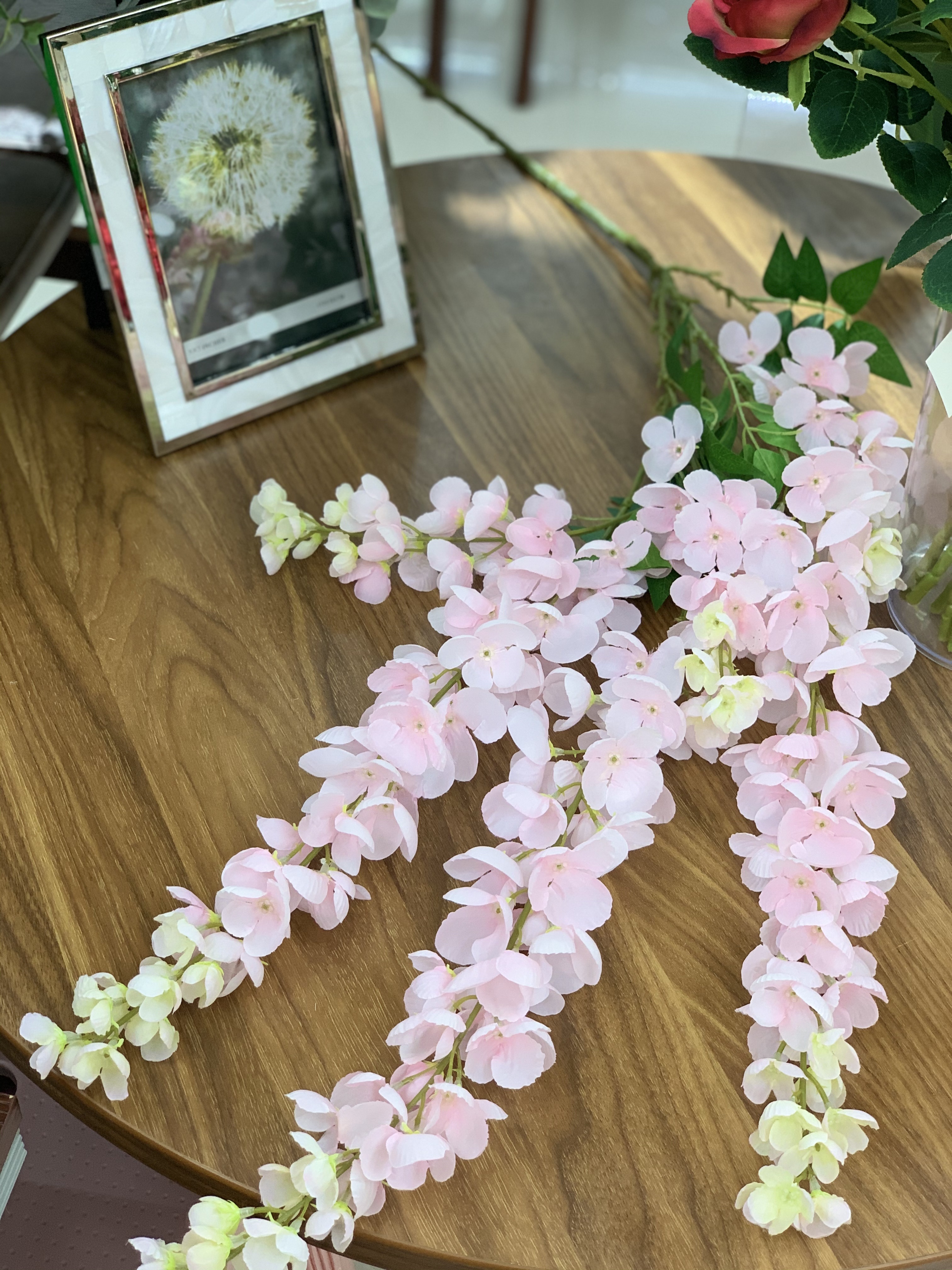 紫荆豆豆详情图1