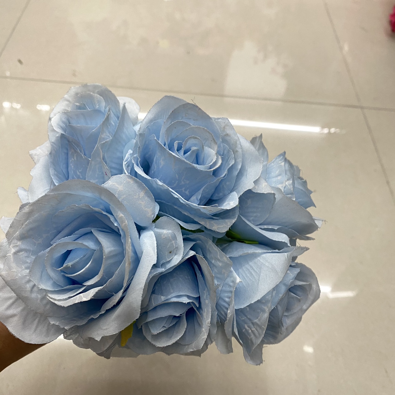 Sky blue snow rose thumbnail