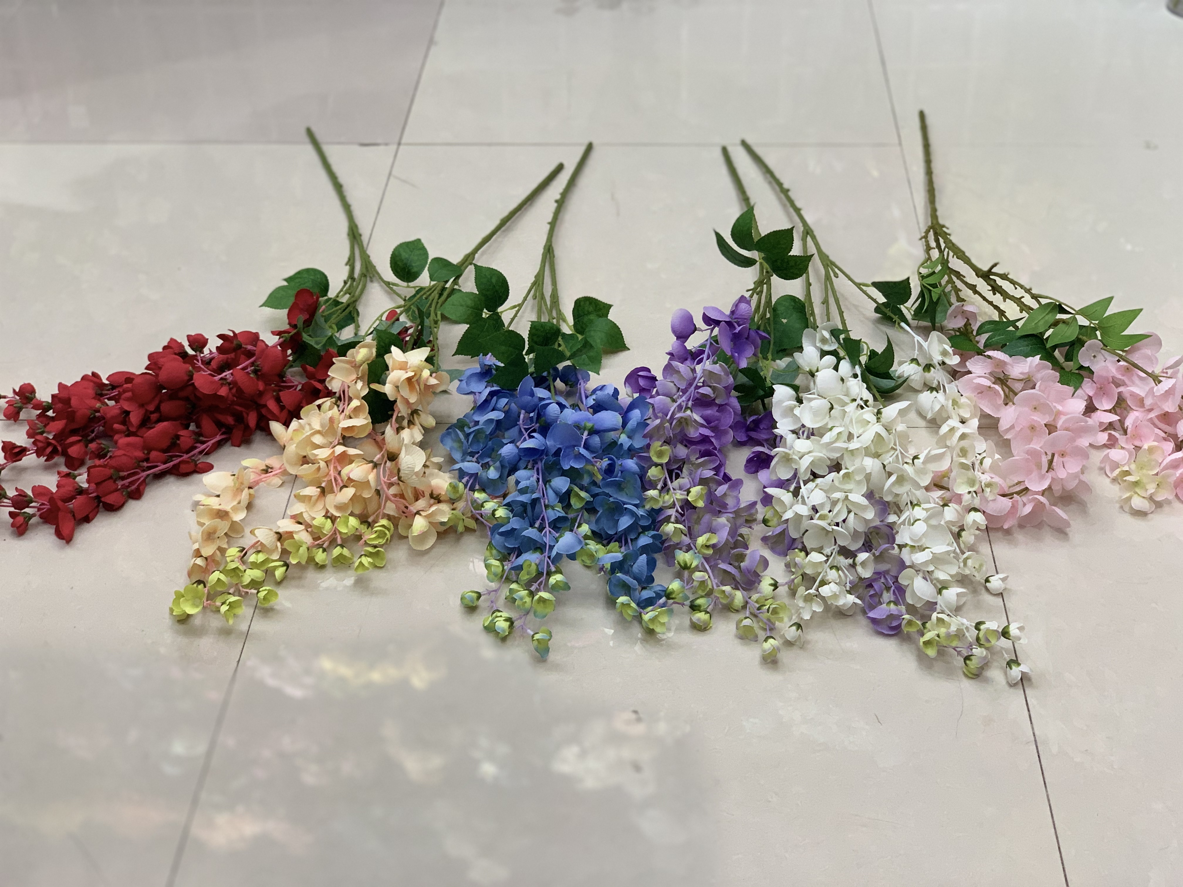 紫荆豆豆详情图9