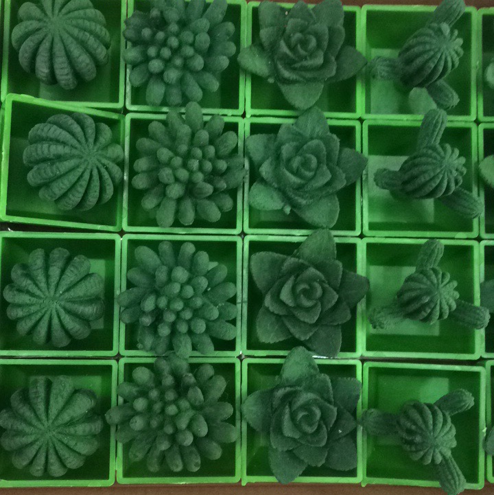  厂家直销各式各样膨胀玩具  绿色仙人球大号