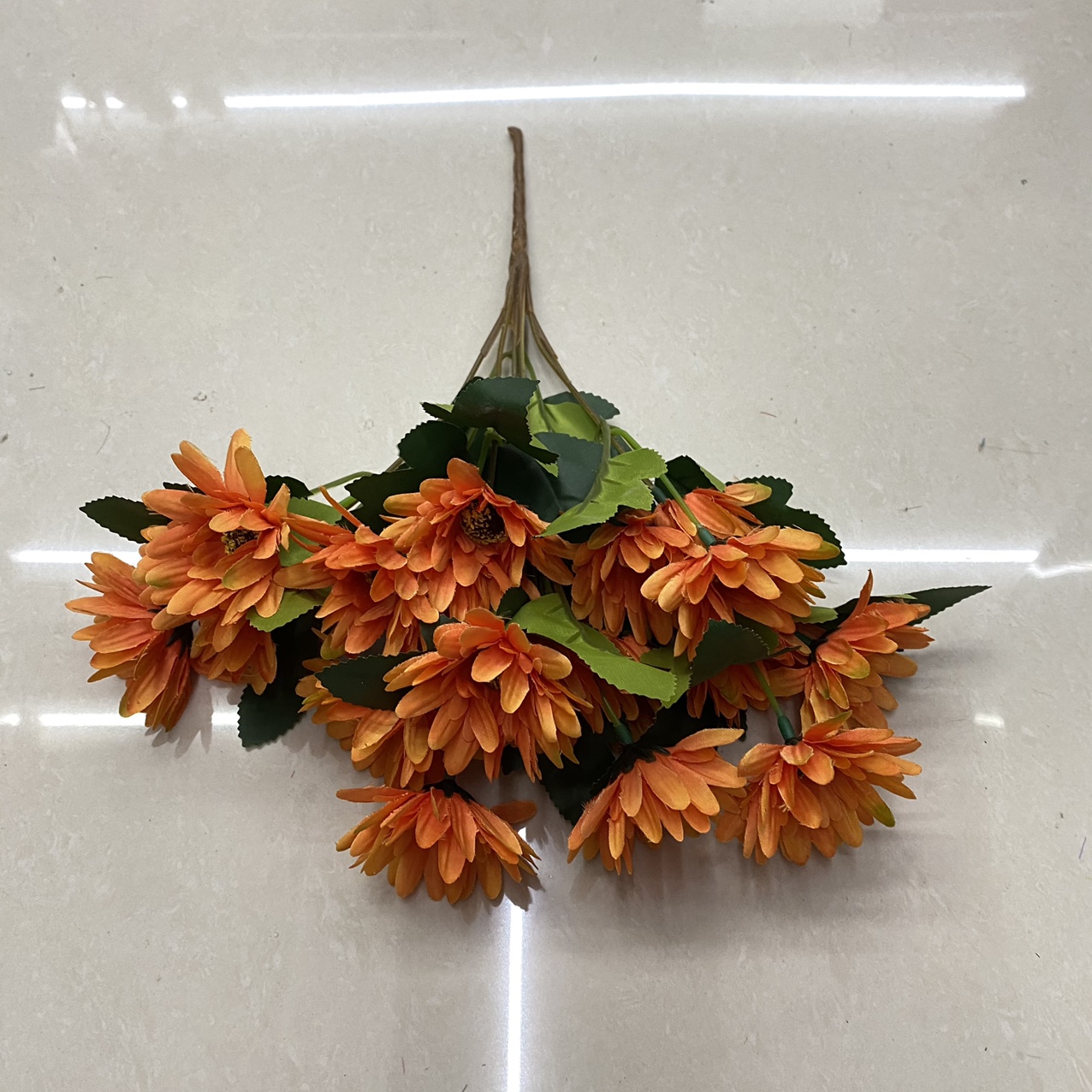 Five small orange green leaf daisies