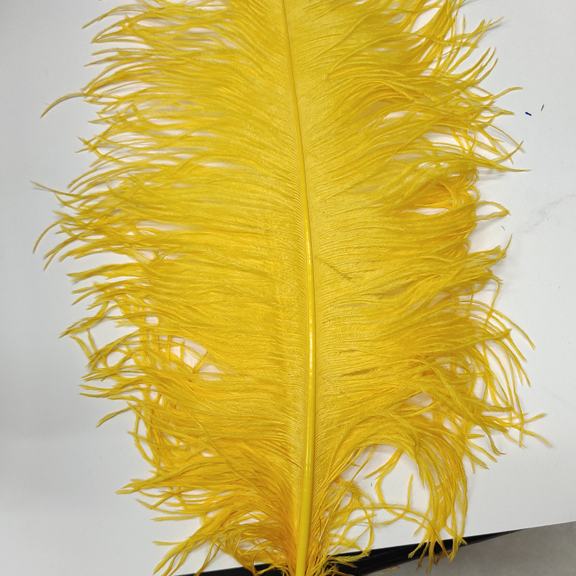 Ostrich feathers 65 ~ 70 thick rod golden yellow