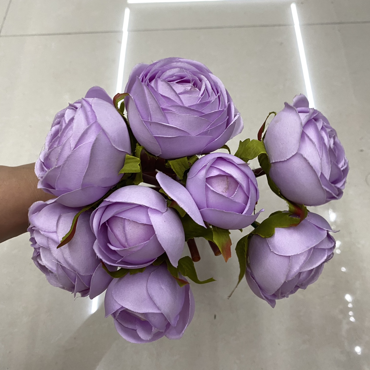 浅紫色茶包玫瑰