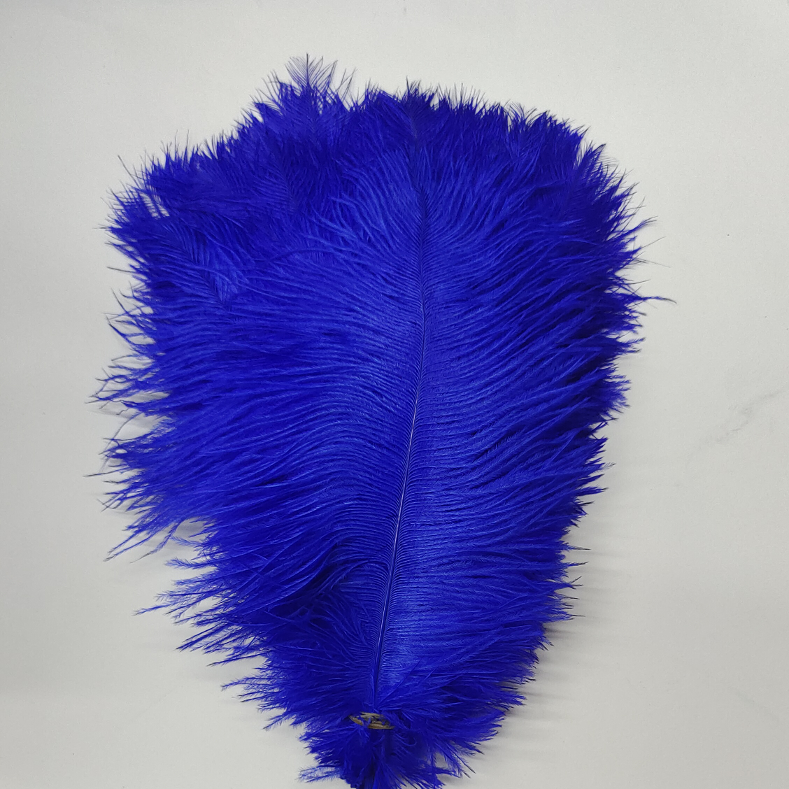 Ostrich feathers 65 ~ 70 male thick royal blue