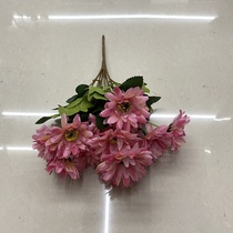 Little pink Daisy with green leaves