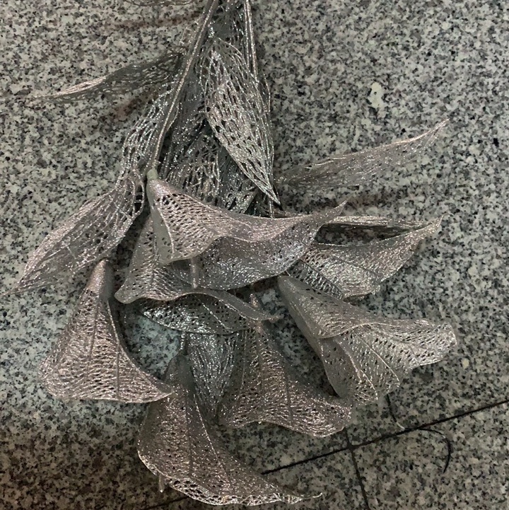 圣