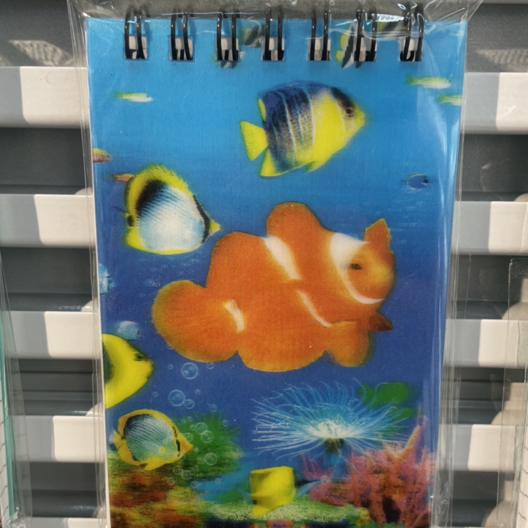 Clownfish notebook