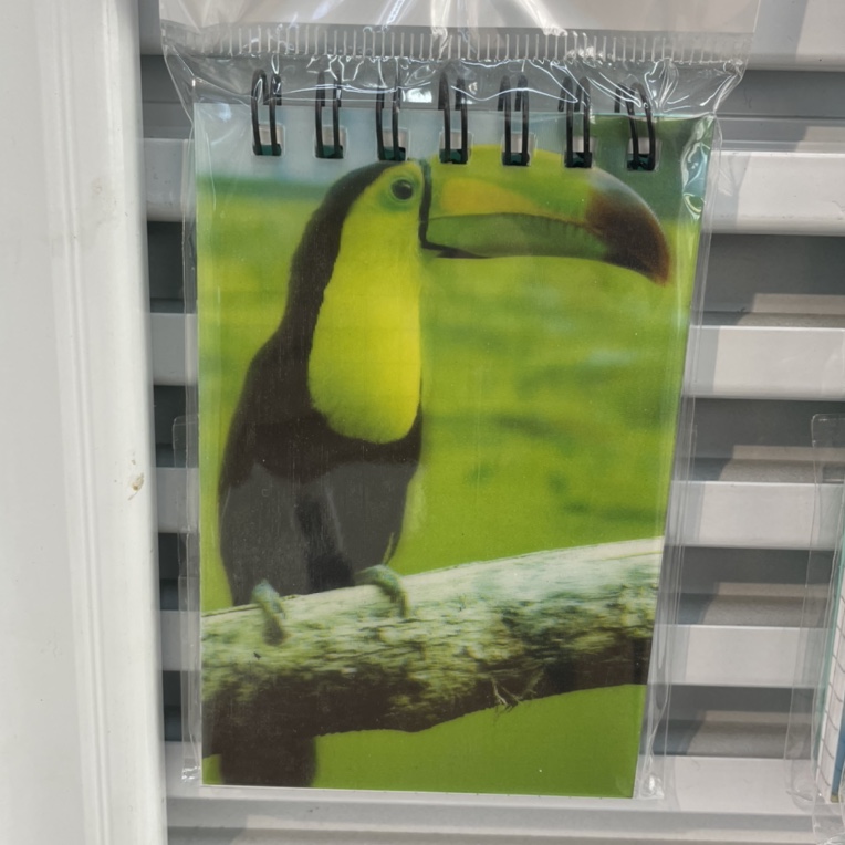 Big Bill bird coil book