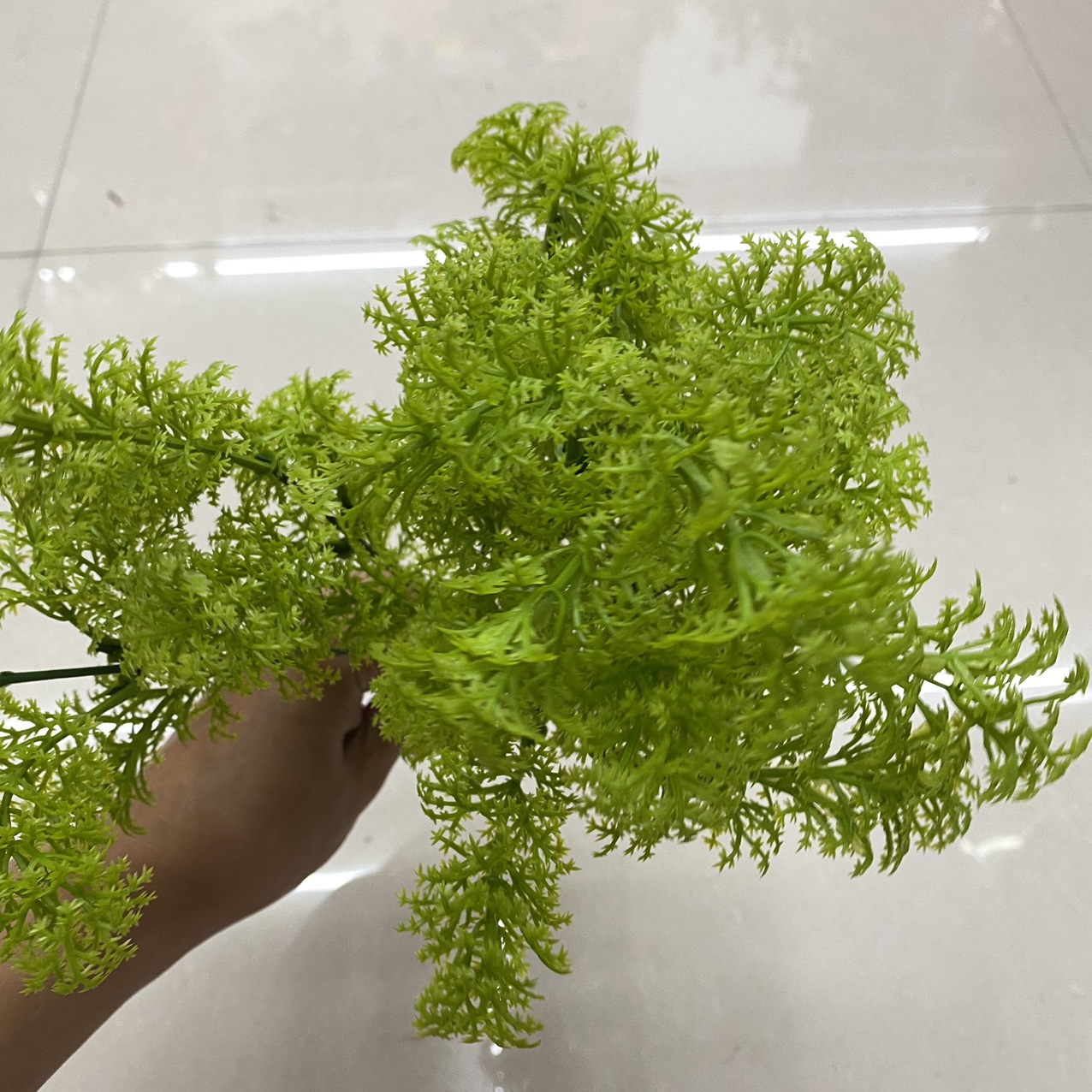 The green grass is tied in bundles