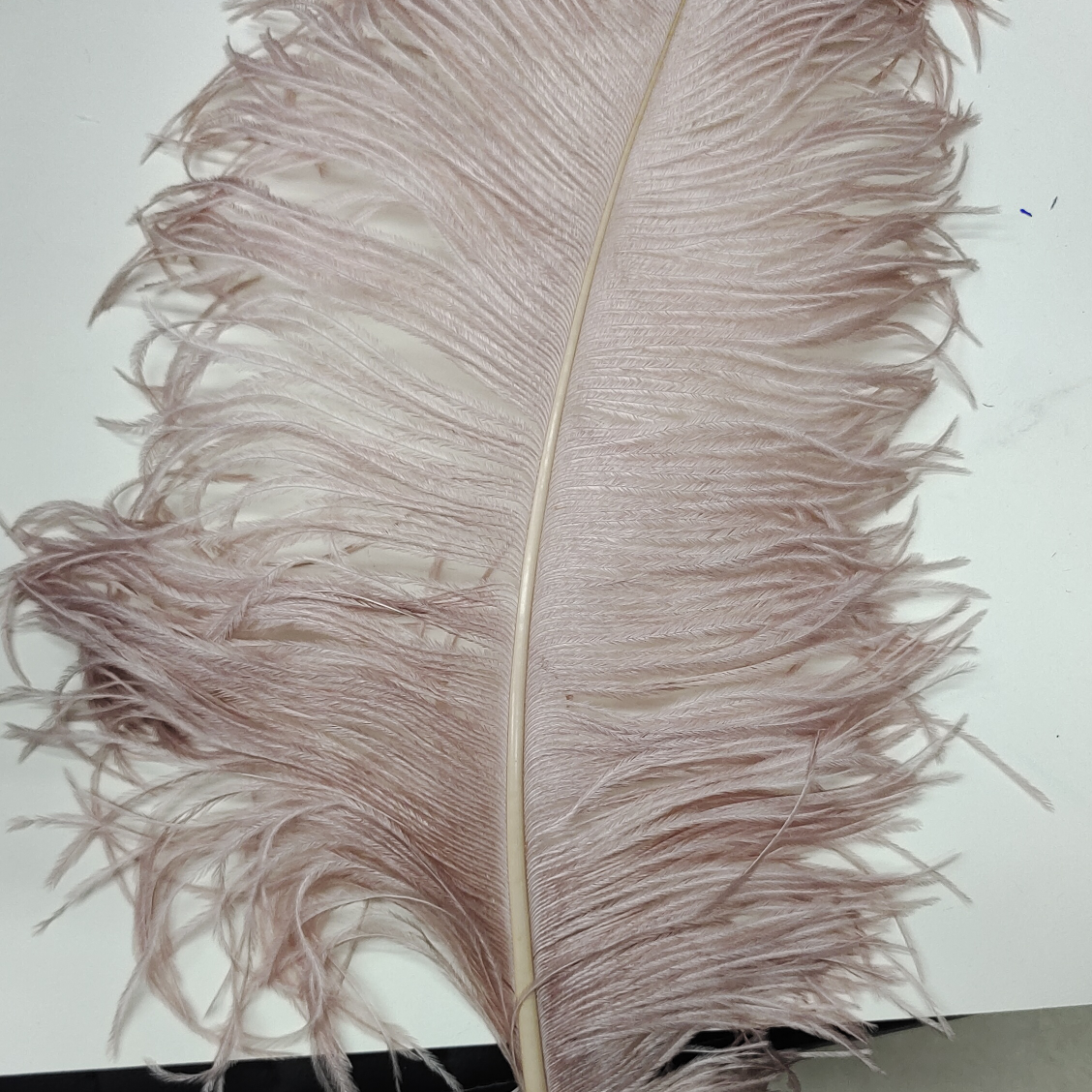 Ostrich feathers 60-65 cm thick flesh pink