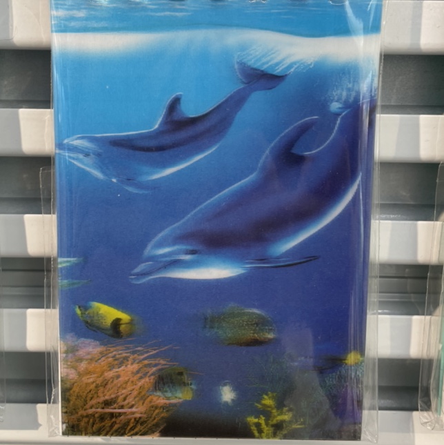 Dolphin coil book