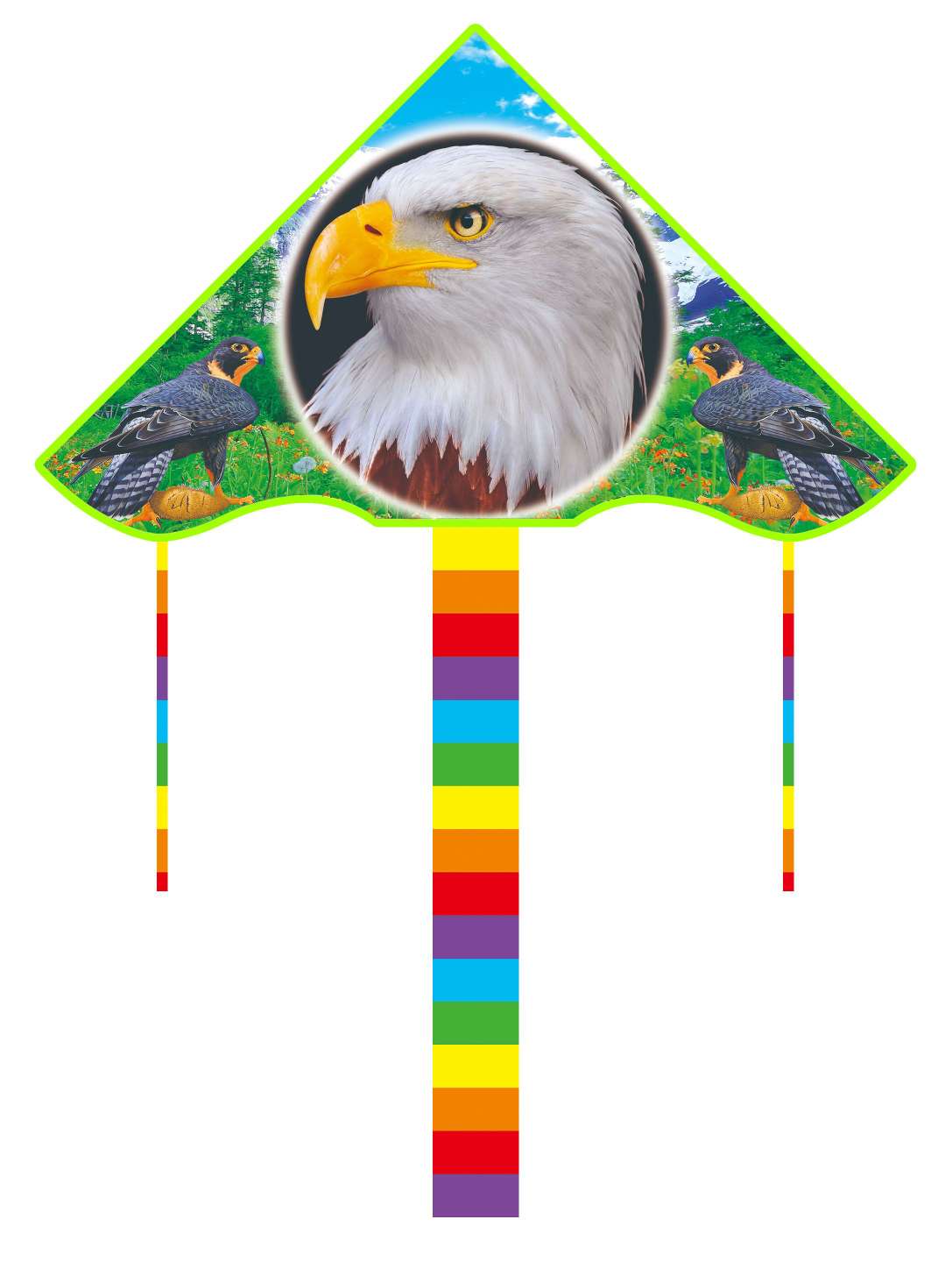 92cm白头鹰产品图