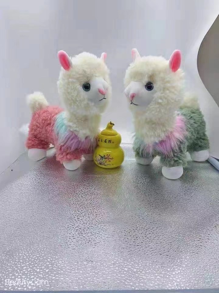 Alpaca No. 1 details Picture