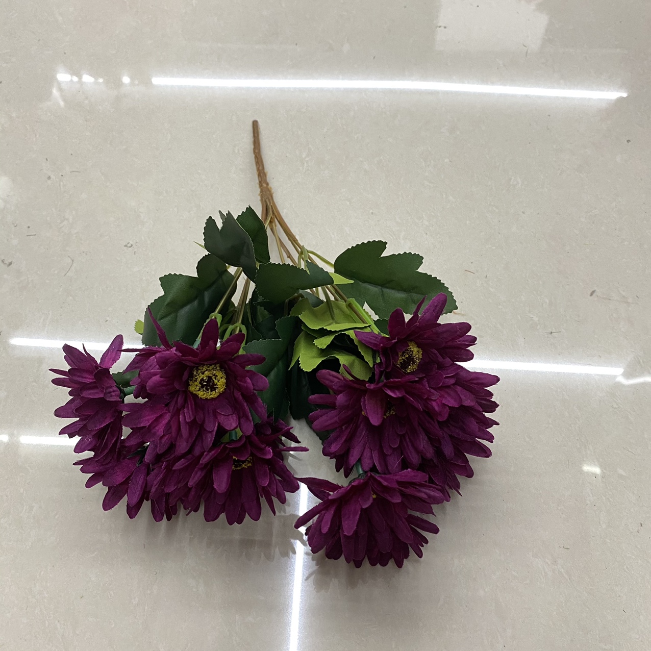 Dark dark red Daisy